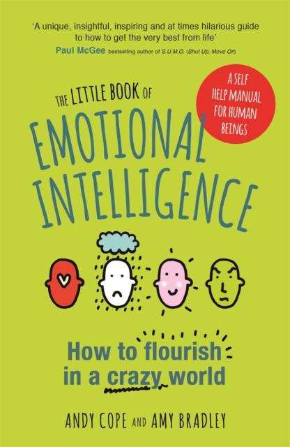 The Little Book of Emotional Intelligence : How to Flourish in a Crazy World, Paperback / softback Book