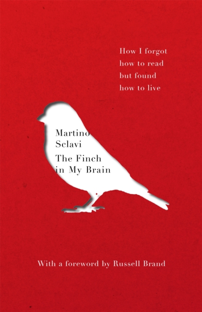 The Finch in My Brain : How I forgot how to read but found how to live, Paperback / softback Book