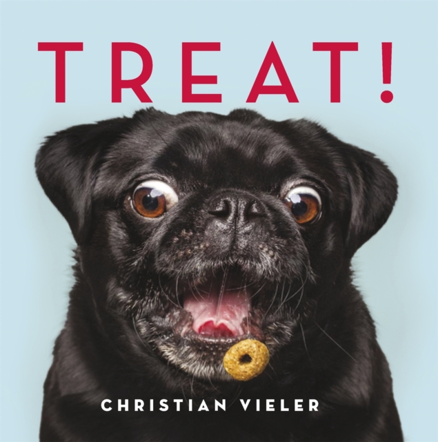 Treat! : DOGS CATCHING TREATS: THE FUNNIEST DOG BOOK OF THE YEAR, Hardback Book