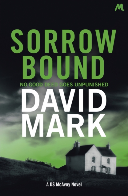Sorrow Bound : The 3rd DS McAvoy Novel, EPUB eBook