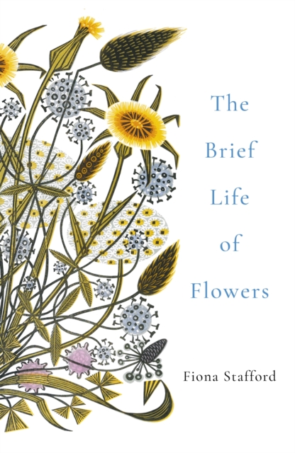 The Brief Life of Flowers, Paperback / softback Book