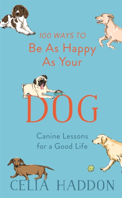 100 Ways to Be As Happy As Your Dog, Hardback Book