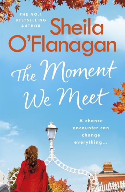The Moment We Meet, Paperback Book