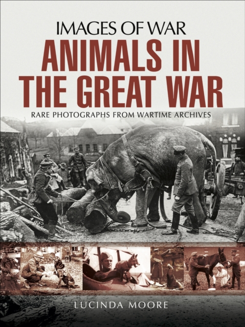 Animals in the Great War, EPUB eBook
