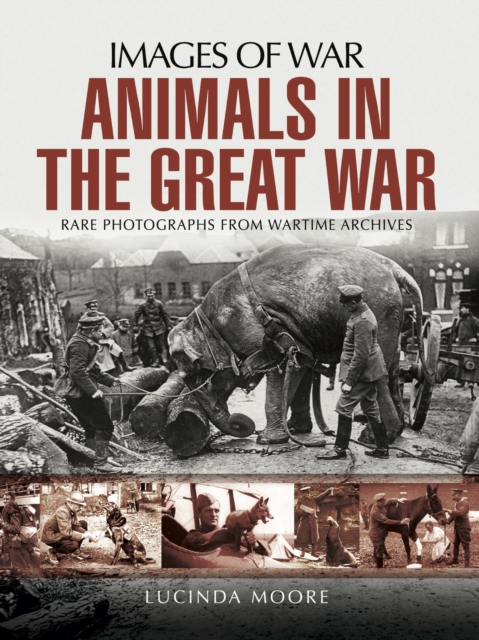 Animals in the Great War, PDF eBook