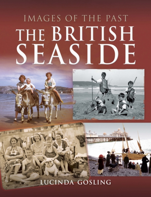 The British Seaside, PDF eBook
