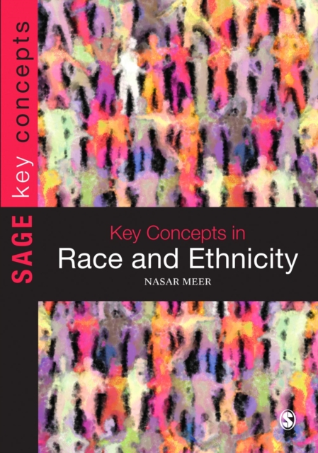 Key Concepts in Race and Ethnicity, PDF eBook