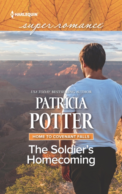 The Soldier's Homecoming, EPUB eBook