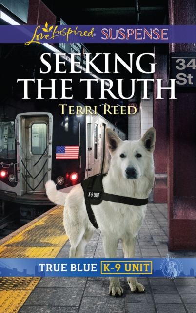 Seeking The Truth, EPUB eBook