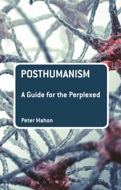 Posthumanism: A Guide for the Perplexed, Paperback / softback Book