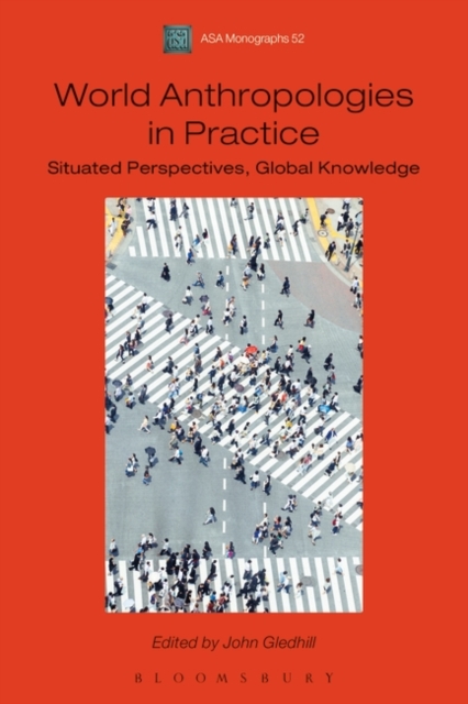 World Anthropologies in Practice : Situated Perspectives, Global Knowledge, Paperback / softback Book