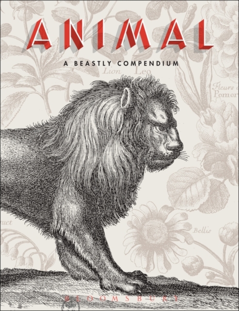 Animal : A Beastly Compendium, Hardback Book