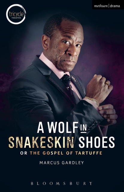 A Wolf in Snakeskin Shoes, Paperback / softback Book