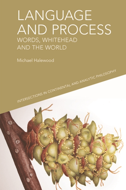 Language and Process : Words, Whitehead and the World, Paperback / softback Book