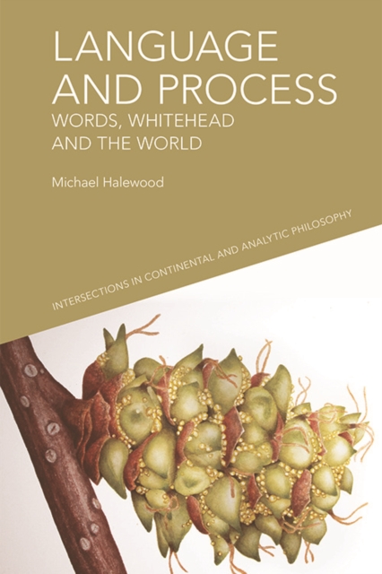 Language and Process : Words, Whitehead and the World, EPUB eBook