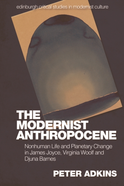 The Modernist Anthropocene : Nonhuman Life and Planetary Change in James Joyce, Virginia Woolf and Djuna Barnes, Paperback / softback Book