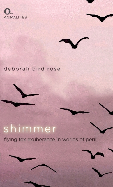 Shimmer : Flying Fox Exuberance in Worlds of Peril, Hardback Book