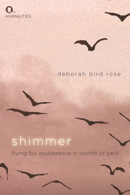 Shimmer : Flying Fox Exuberance in Worlds of Peril, Paperback / softback Book