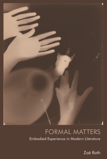 Formal Matters : Embodied Experience in Modern Literature, Paperback / softback Book