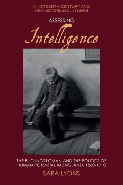 Assessing Intelligence : The Bildungsroman and the Politics of Human Potential in England, 1860 1910, Paperback / softback Book