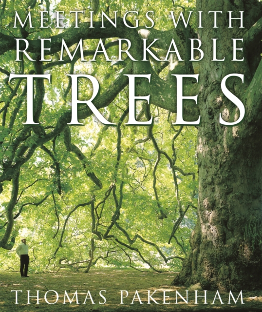 Meetings With Remarkable Trees, Hardback Book