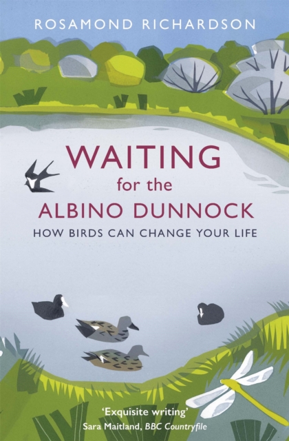 Waiting for the Albino Dunnock : How birds can change your life, Paperback / softback Book