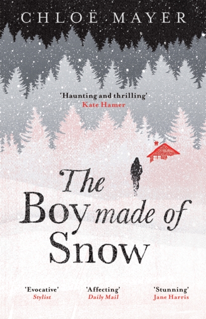 The Boy Made of Snow, EPUB eBook