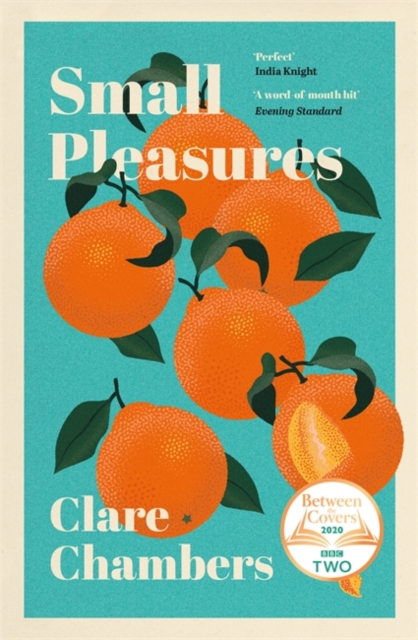 Small Pleasures : Longlisted for the Women's Prize for Fiction 2021, Hardback Book