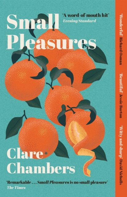 Small Pleasures : Longlisted for the Women's Prize for Fiction, EPUB eBook
