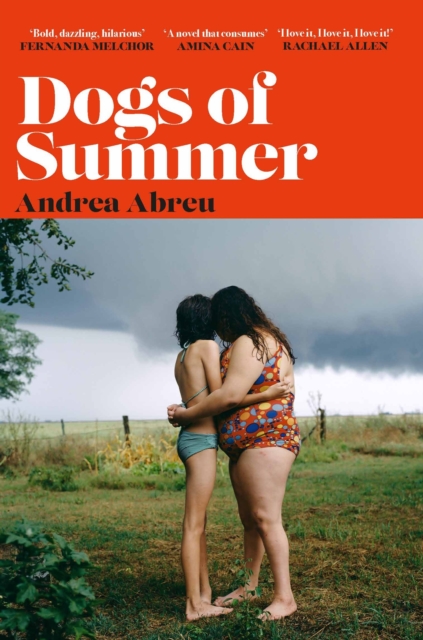 Dogs of Summer : A sultry, simmering story of girlhood and an international sensation, Paperback / softback Book