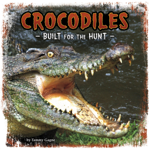 Crocodiles : Built for the Hunt, Paperback / softback Book