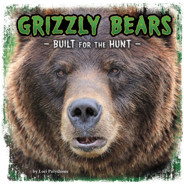 Grizzly Bears : Built for the Hunt, Paperback / softback Book