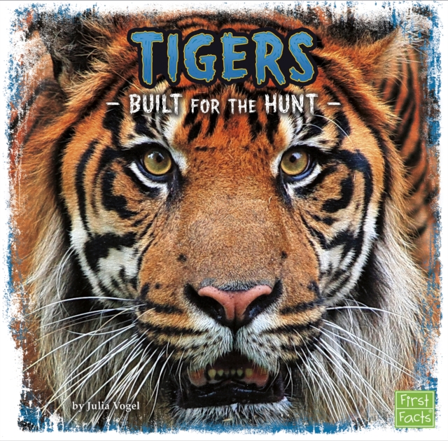 Tigers : Built for the Hunt, PDF eBook
