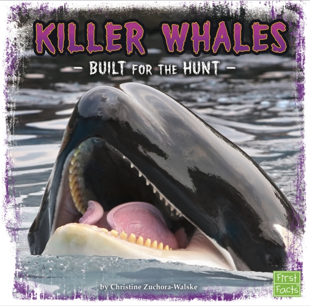 Killer Whales : Built for the Hunt, PDF eBook