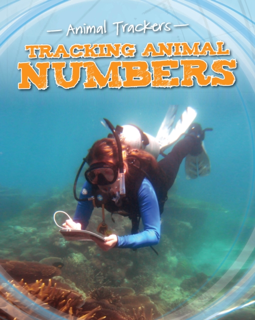 Tracking Animal Numbers, Hardback Book