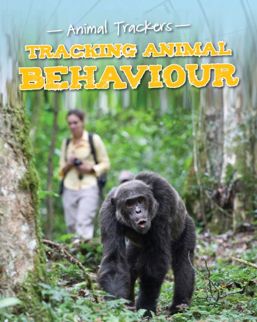 Tracking Animal Behaviour, Paperback / softback Book