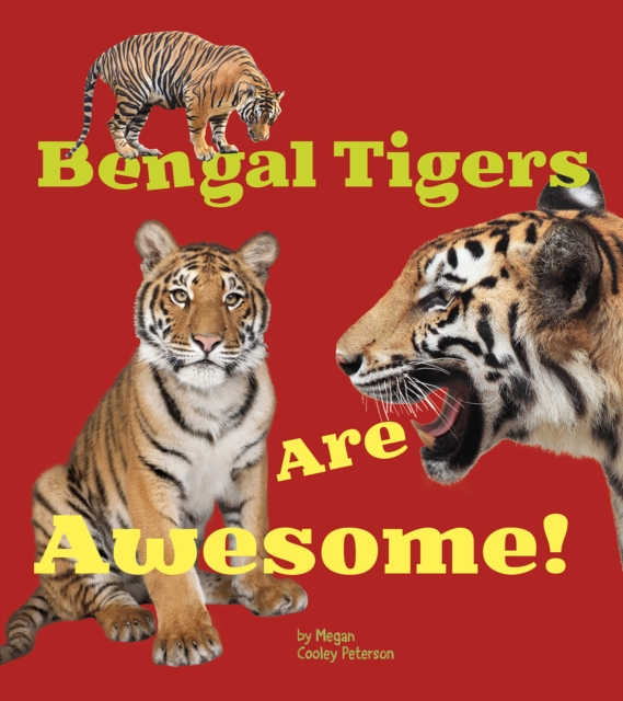 Bengal Tigers Are Awesome!, Hardback Book