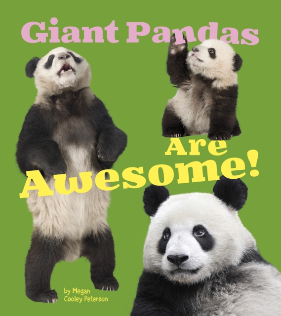 Giant Pandas Are Awesome!, Paperback / softback Book