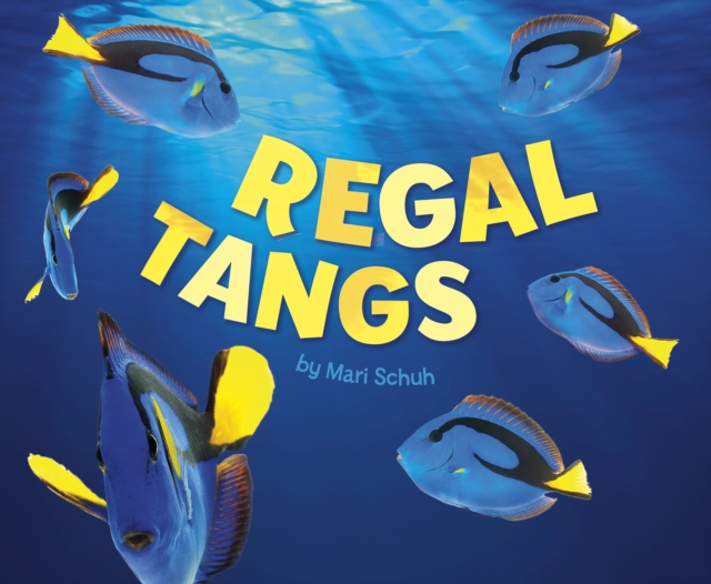 Regal Tangs, Hardback Book
