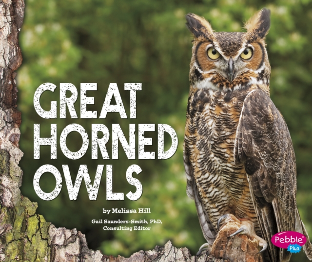 Great Horned Owls, Hardback Book