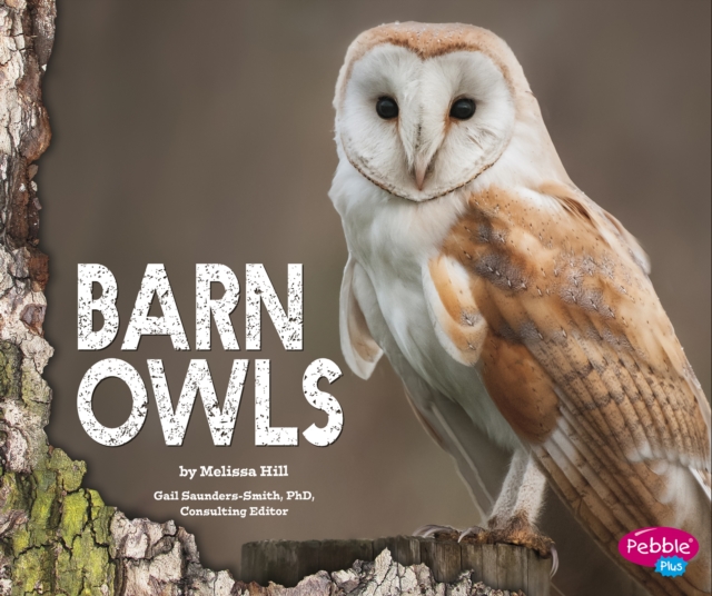Barn Owls, Hardback Book