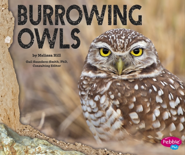 Burrowing Owls, Hardback Book