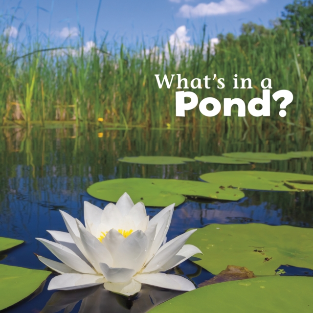 What's in a Pond?, Hardback Book