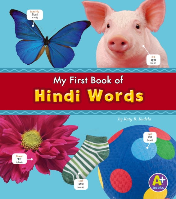 Hindi Words, Hardback Book