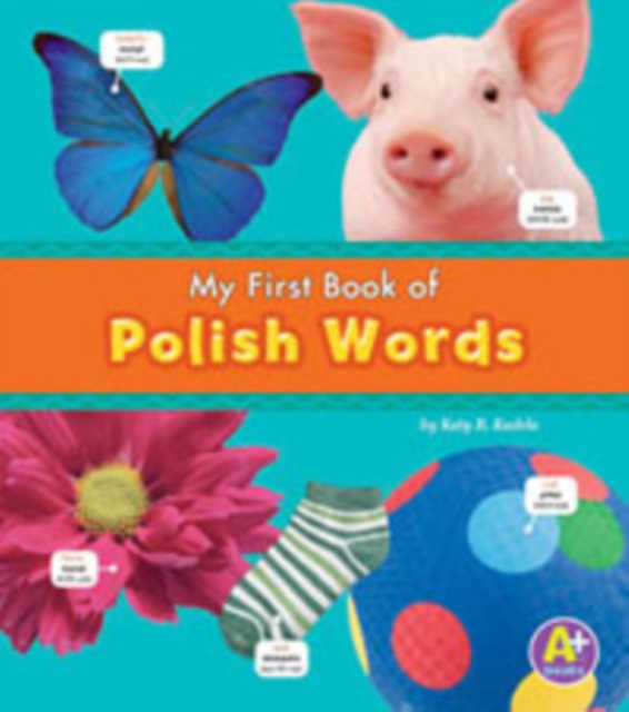 Polish Words, Paperback / softback Book