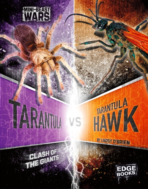 Tarantula vs Tarantula Hawk : Clash of the Giants, Paperback / softback Book