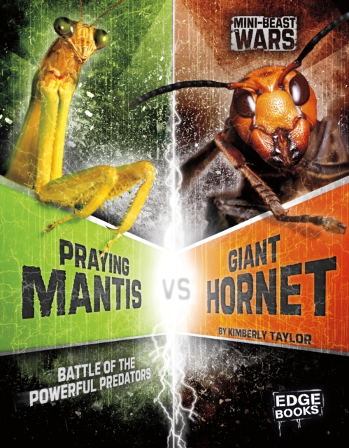 Praying Mantis vs Giant Hornet : Battle of the Powerful Predators, Paperback / softback Book