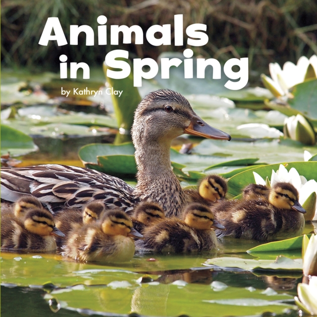 Animals in Spring, Hardback Book
