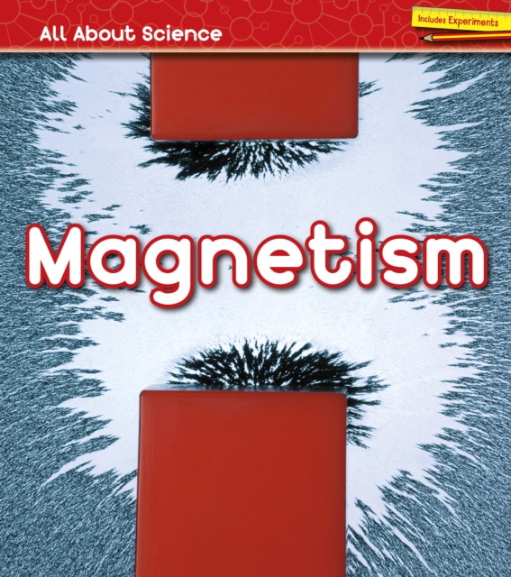 Magnetism, Paperback / softback Book