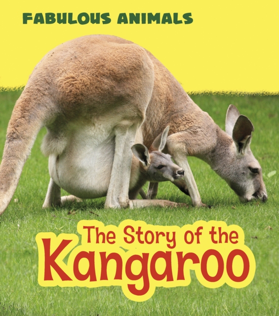 The Story of the Kangaroo, Hardback Book